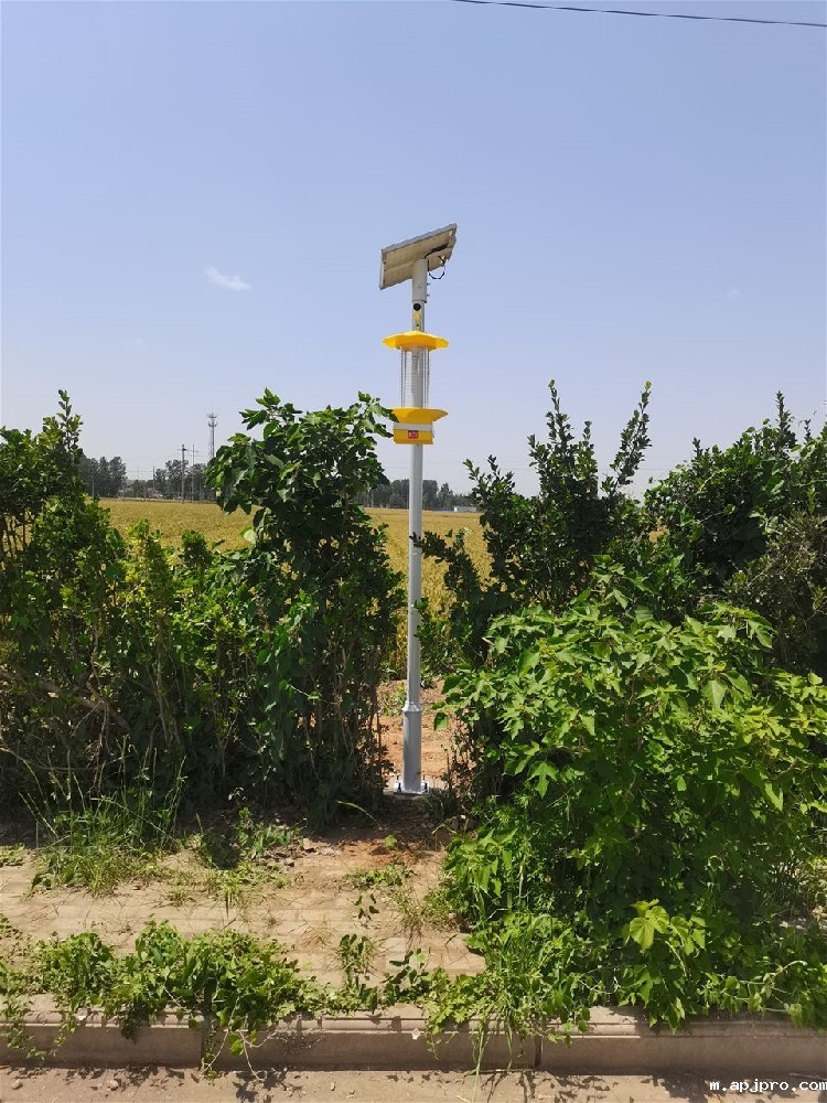 河南安阳双全村采购竞道光电科技智慧农业气象站