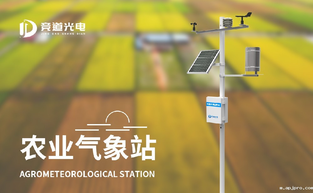 田间米兰世界杯足球决赛