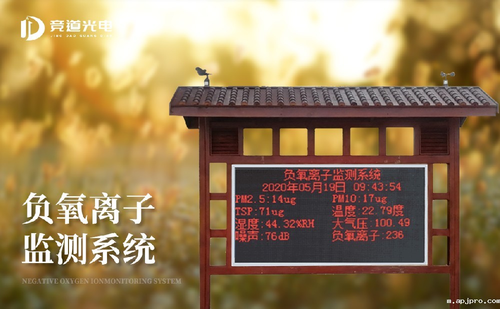 负氧离子监测仪 负氧离子监测仪