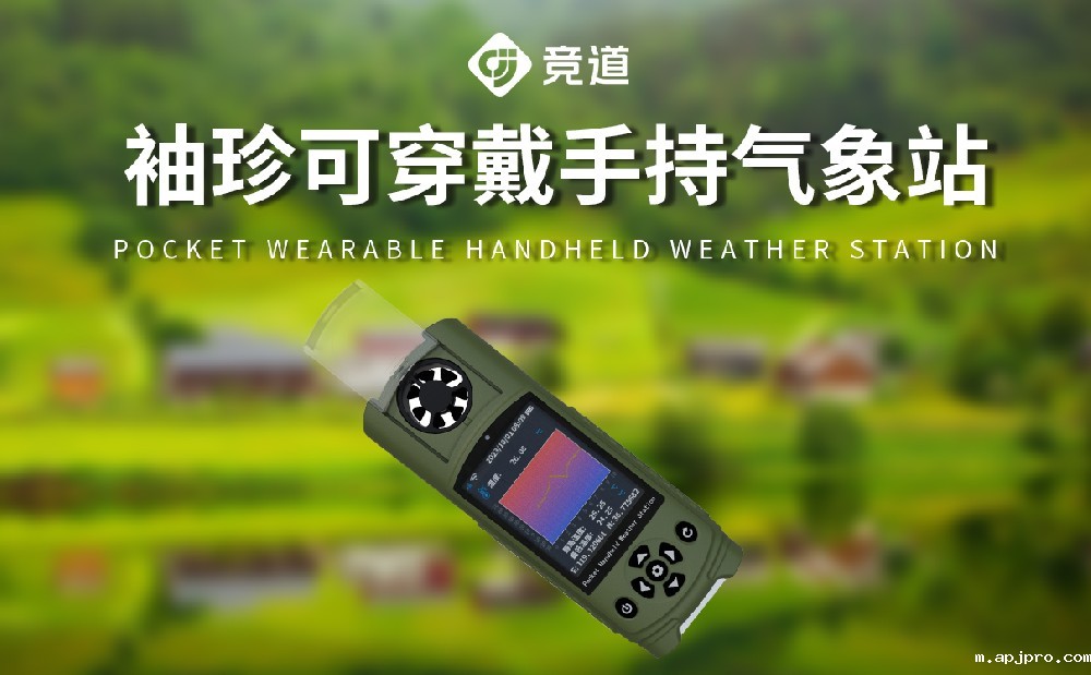 袖珍款手持气象仪