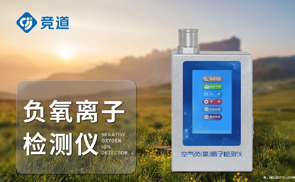 手持负氧离子检测仪