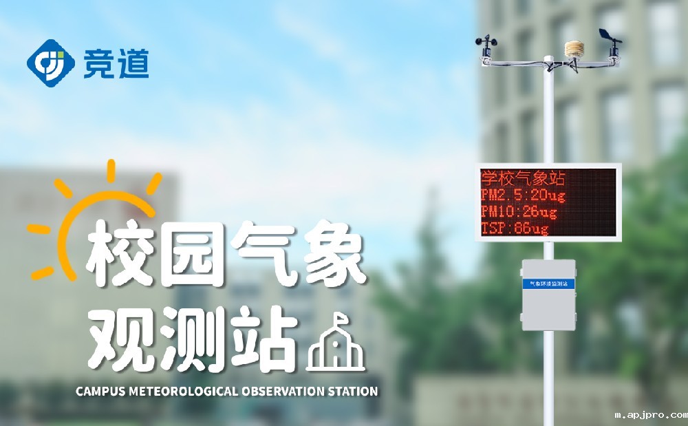 校园米兰世界杯足球决赛